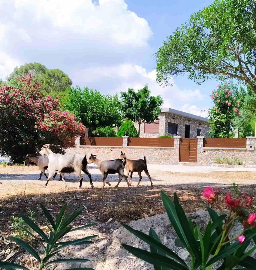 Aithonas Villa Archangelos  Exterior foto