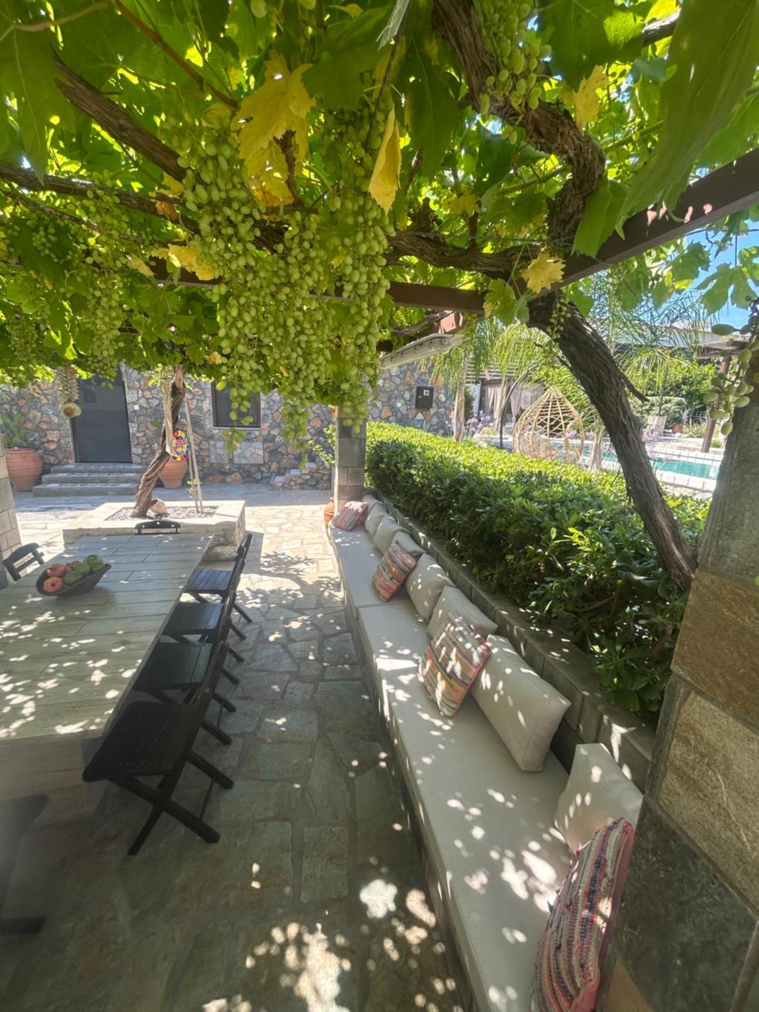 Aithonas Villa Archangelos  Exterior foto